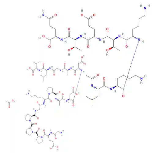 Peptide Matrix Structure